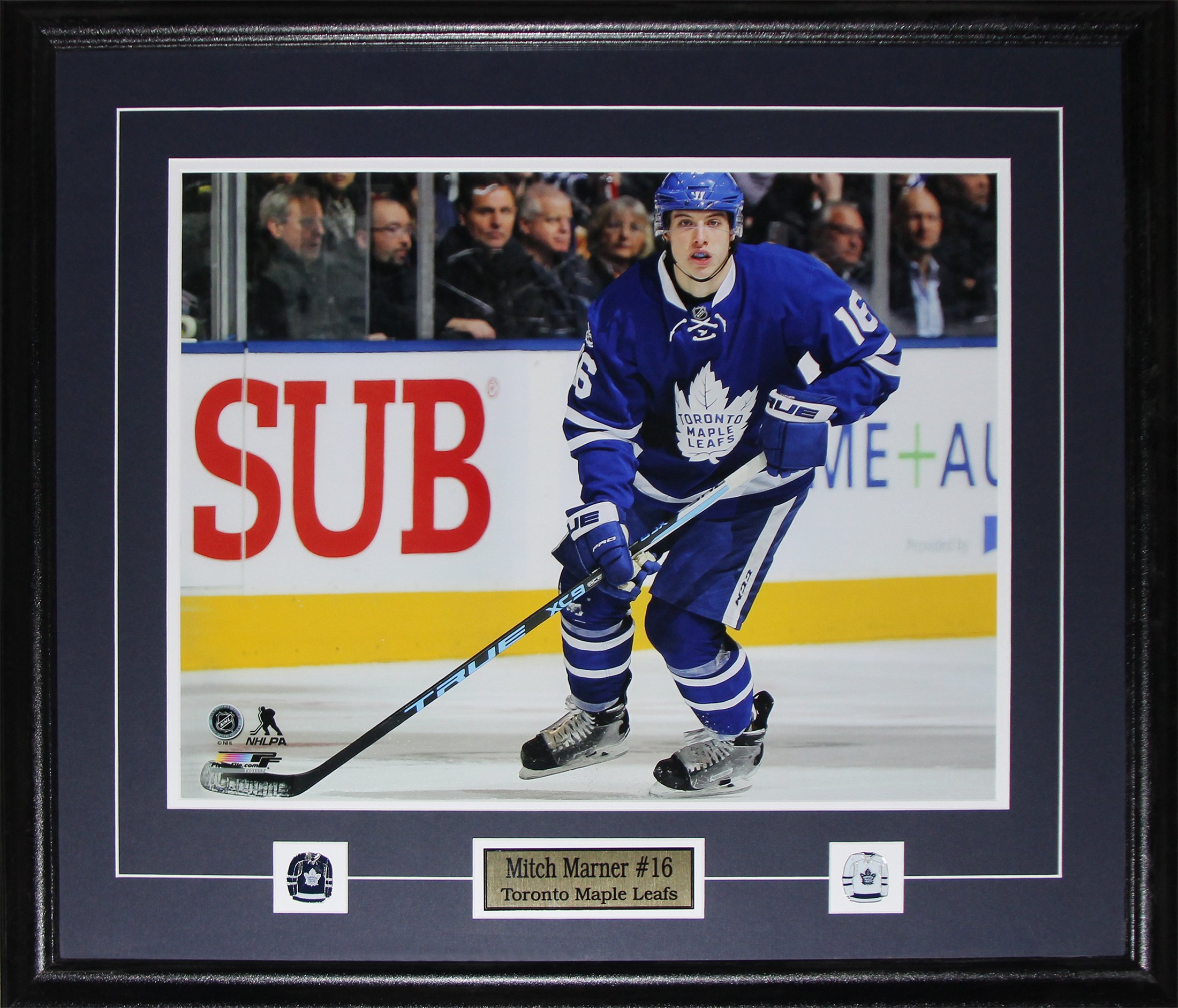 Mitch Marner Toronto Maple Leafs NHL Hockey Memorabilia Collector 16x20 ...